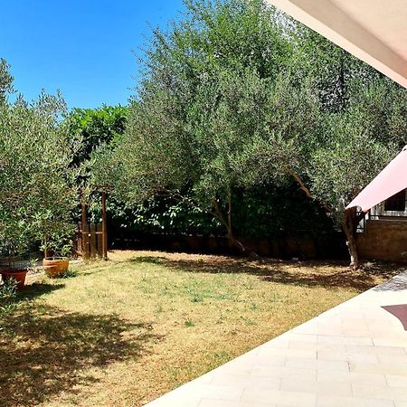 סלצה Apartments Adriatic 3 חדר תמונה