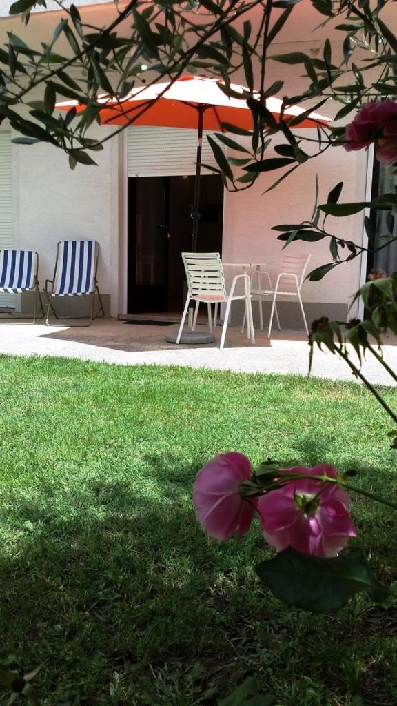 סלצה Apartments Adriatic 3 חדר תמונה